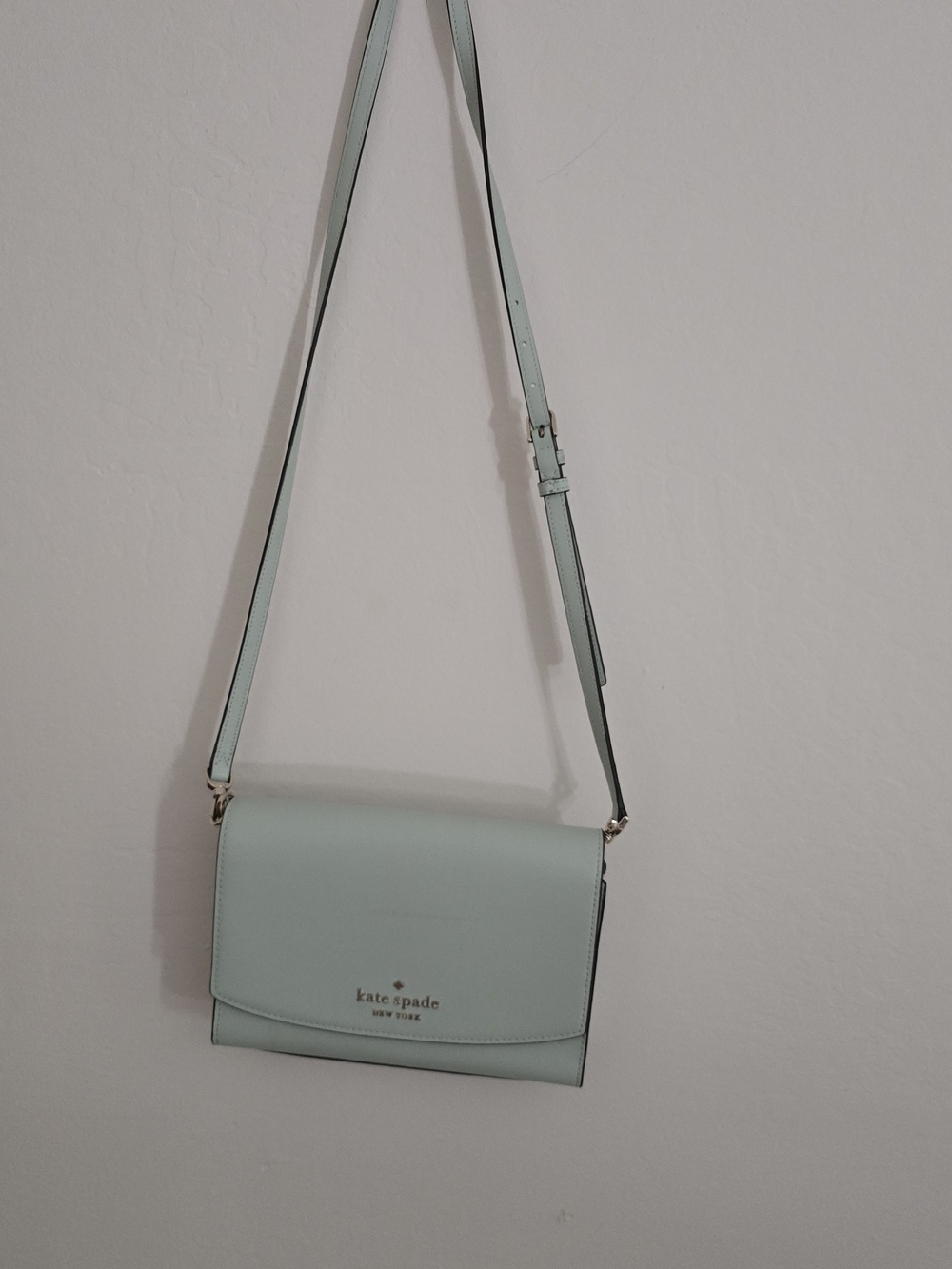 Kate Spade New York Mint Green Crossbody Wallet on Chain Purse